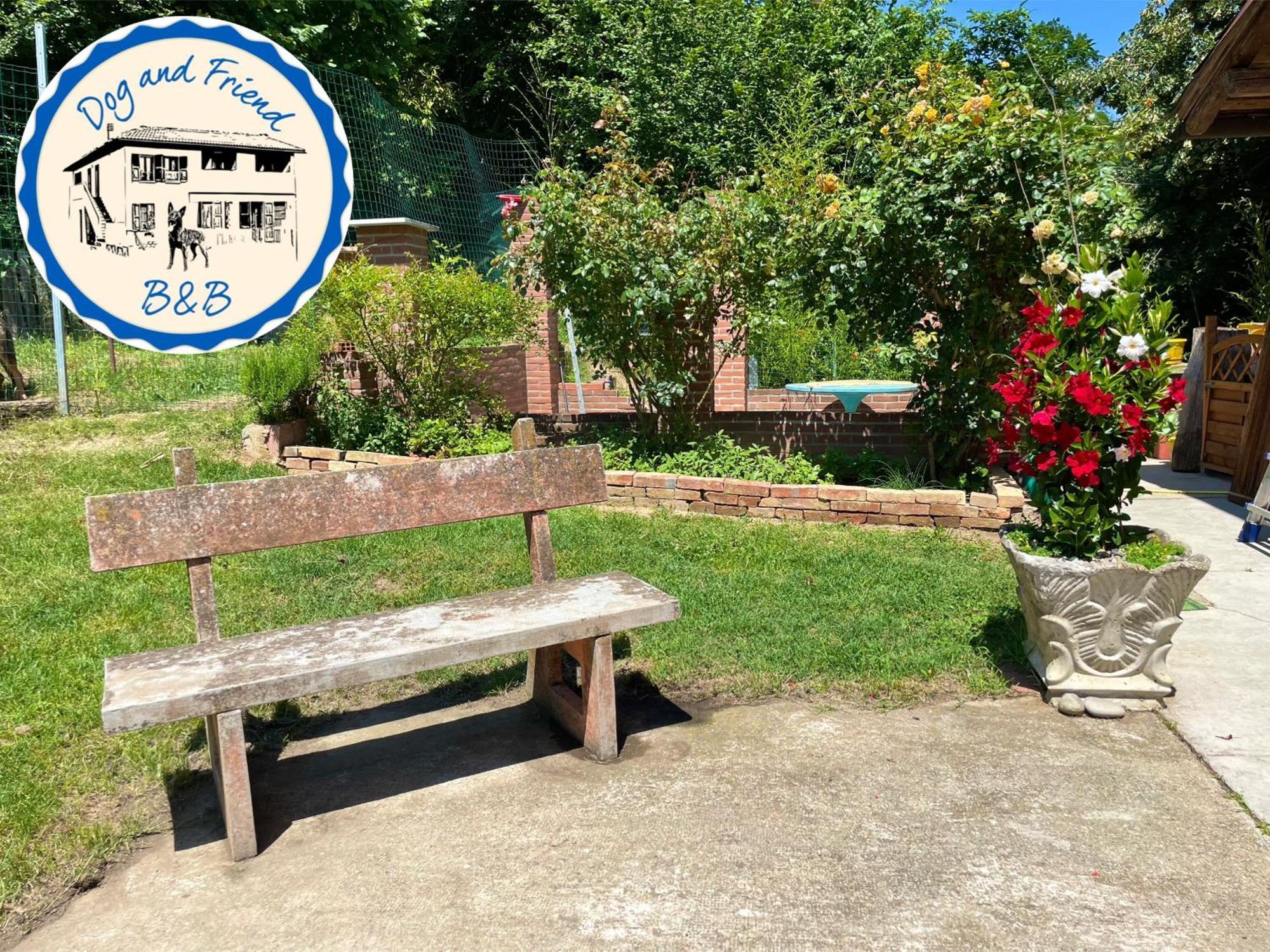 Bnb Dog And Friend Rocchetta Tanaro Exterior photo